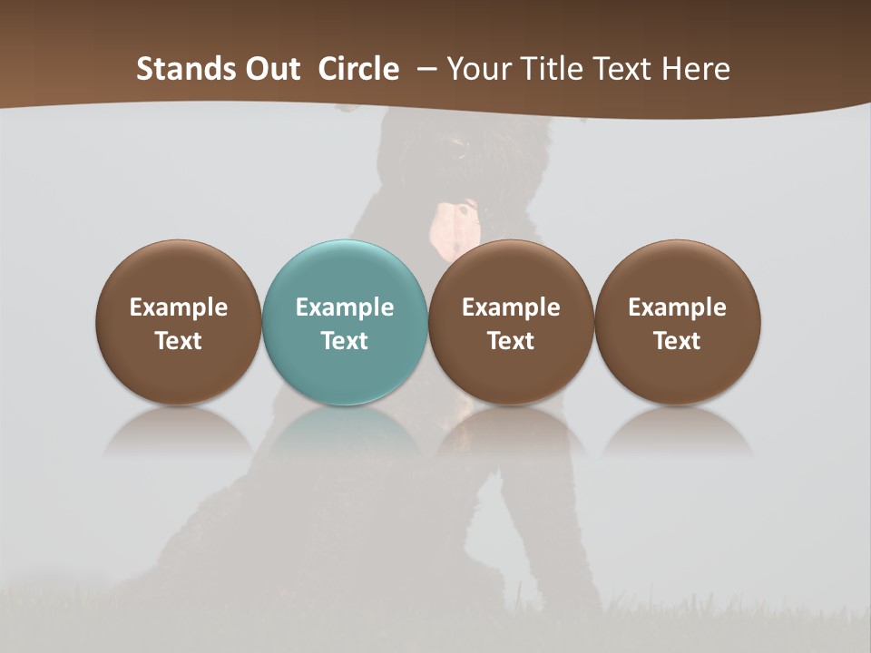 A Black Dog Sitting On Top Of A Lush Green Field PowerPoint Template