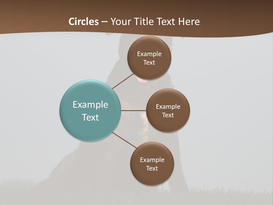 A Black Dog Sitting On Top Of A Lush Green Field PowerPoint Template