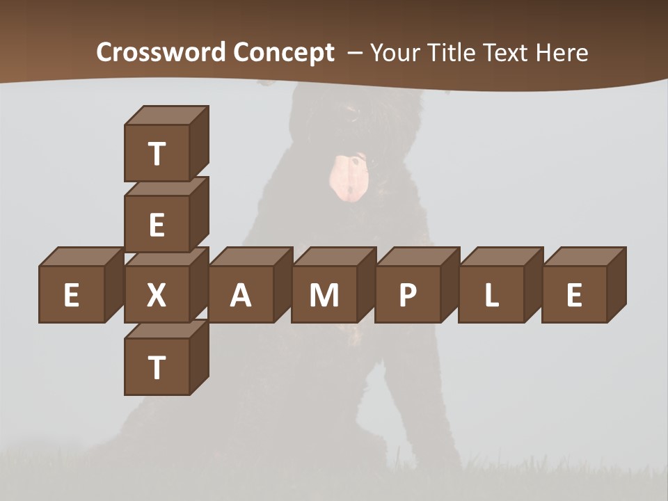 A Black Dog Sitting On Top Of A Lush Green Field PowerPoint Template