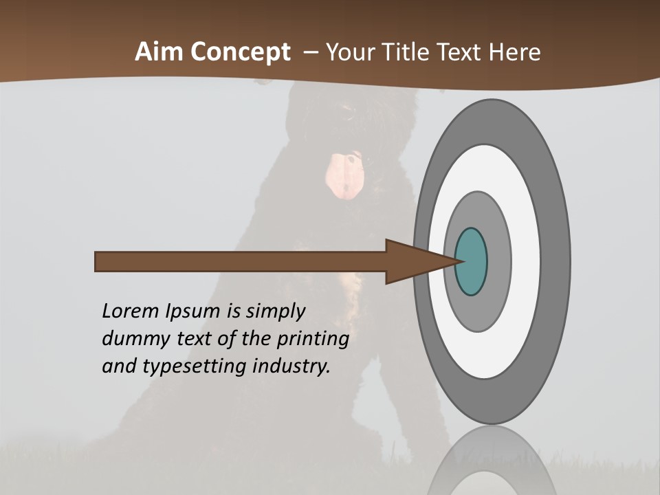 A Black Dog Sitting On Top Of A Lush Green Field PowerPoint Template