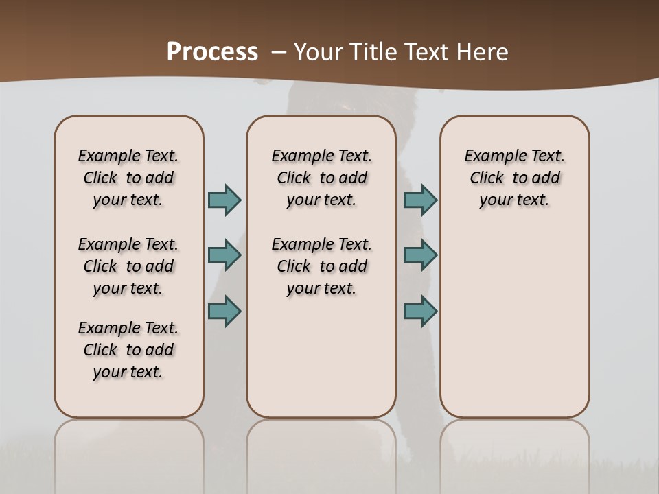 A Black Dog Sitting On Top Of A Lush Green Field PowerPoint Template