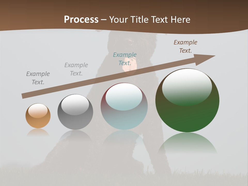 A Black Dog Sitting On Top Of A Lush Green Field PowerPoint Template