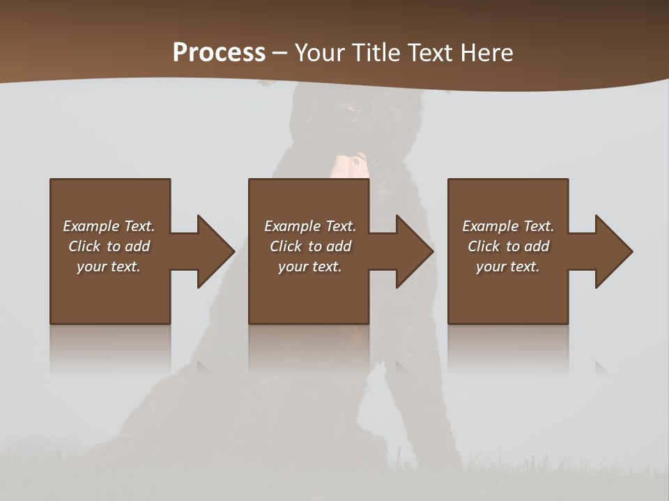 A Black Dog Sitting On Top Of A Lush Green Field PowerPoint Template