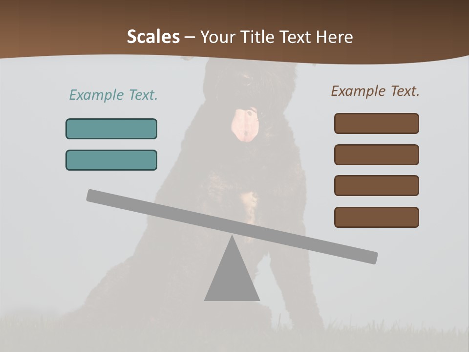 A Black Dog Sitting On Top Of A Lush Green Field PowerPoint Template