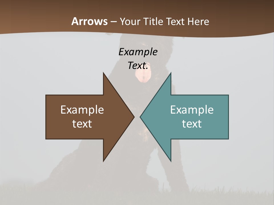 A Black Dog Sitting On Top Of A Lush Green Field PowerPoint Template