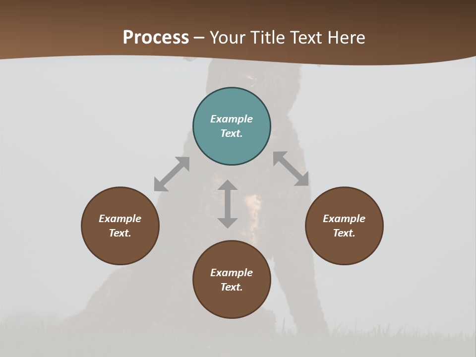 A Black Dog Sitting On Top Of A Lush Green Field PowerPoint Template
