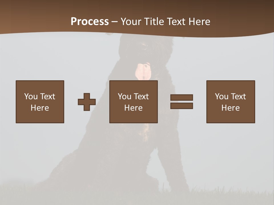 A Black Dog Sitting On Top Of A Lush Green Field PowerPoint Template