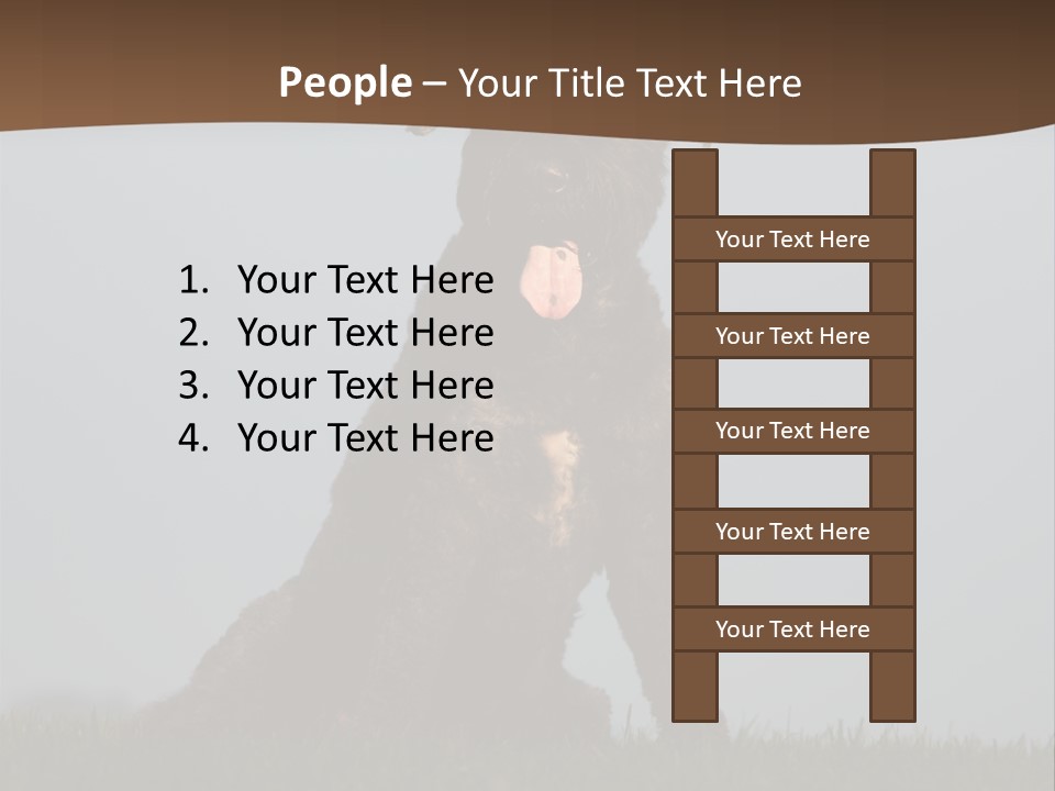 A Black Dog Sitting On Top Of A Lush Green Field PowerPoint Template