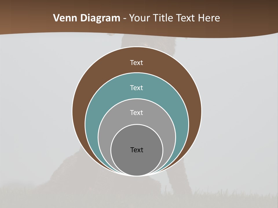 A Black Dog Sitting On Top Of A Lush Green Field PowerPoint Template