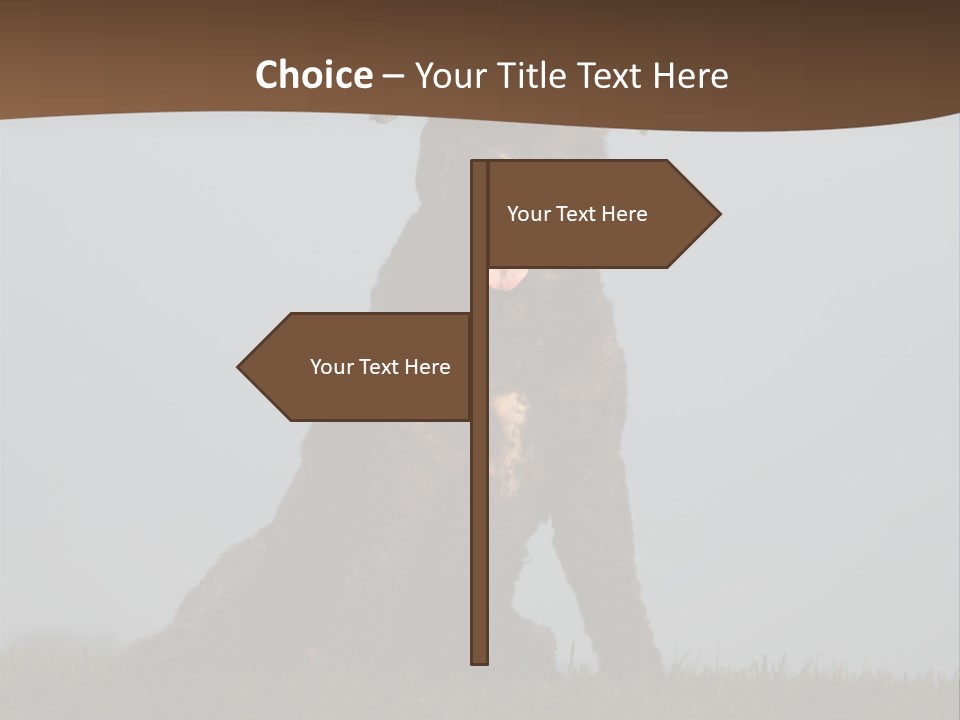 A Black Dog Sitting On Top Of A Lush Green Field PowerPoint Template