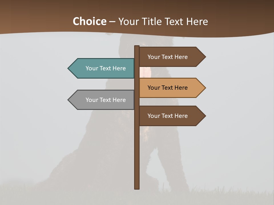 A Black Dog Sitting On Top Of A Lush Green Field PowerPoint Template