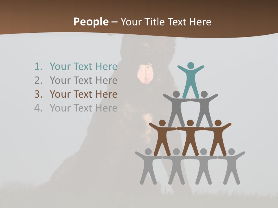 A Black Dog Sitting On Top Of A Lush Green Field PowerPoint Template