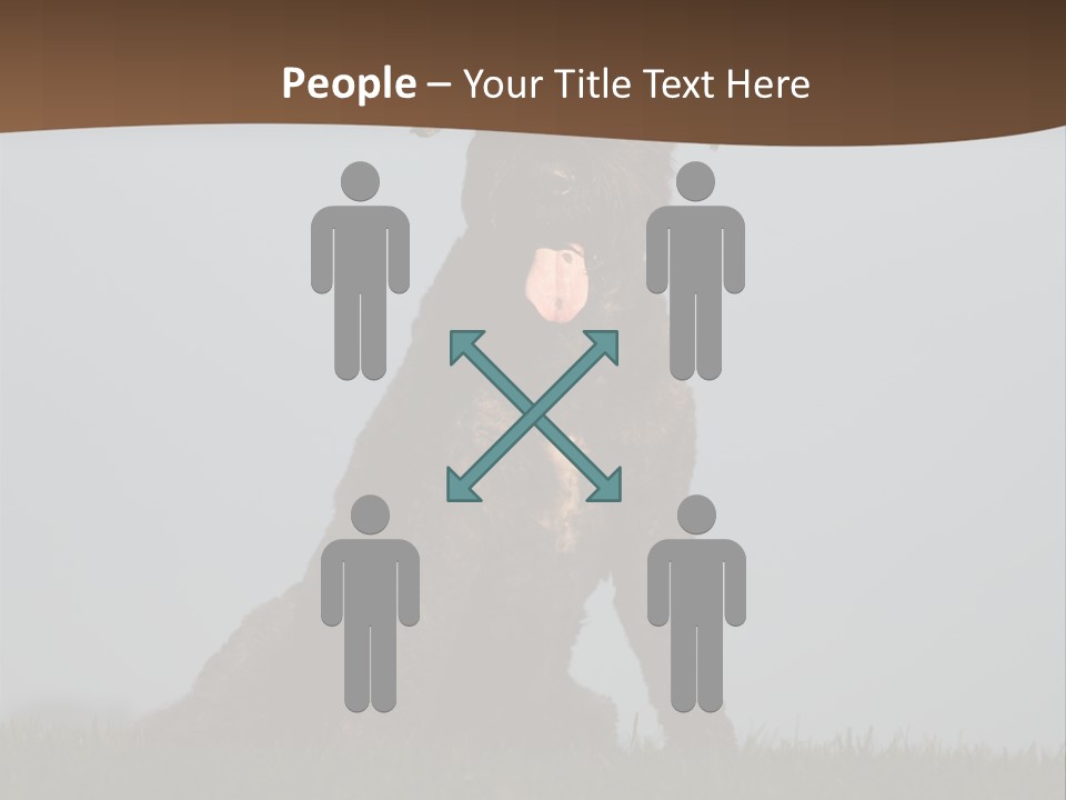 A Black Dog Sitting On Top Of A Lush Green Field PowerPoint Template