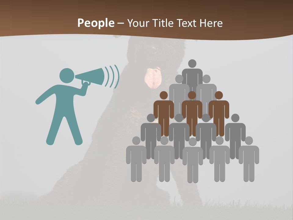 A Black Dog Sitting On Top Of A Lush Green Field PowerPoint Template