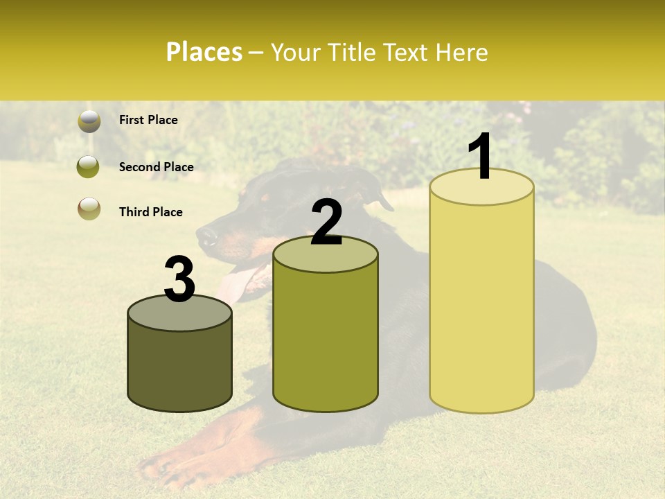 A Black And Brown Dog Laying On Top Of A Lush Green Field PowerPoint Template