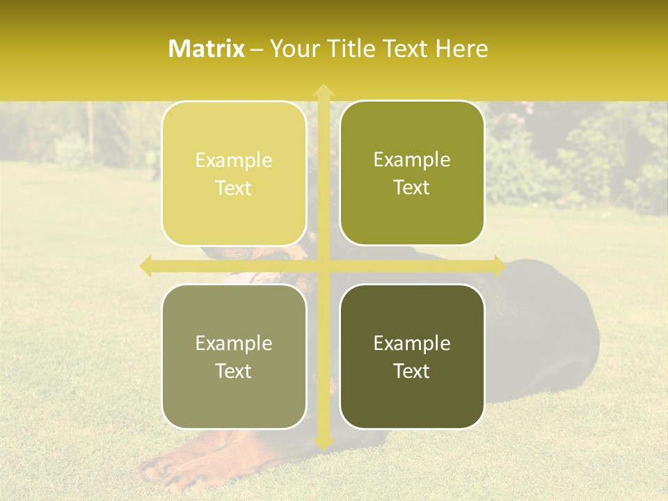 A Black And Brown Dog Laying On Top Of A Lush Green Field PowerPoint Template