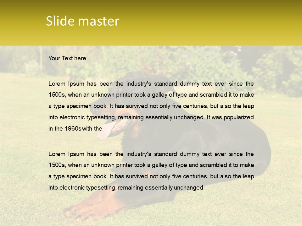 A Black And Brown Dog Laying On Top Of A Lush Green Field PowerPoint Template