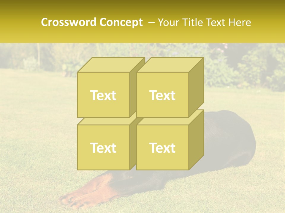 A Black And Brown Dog Laying On Top Of A Lush Green Field PowerPoint Template