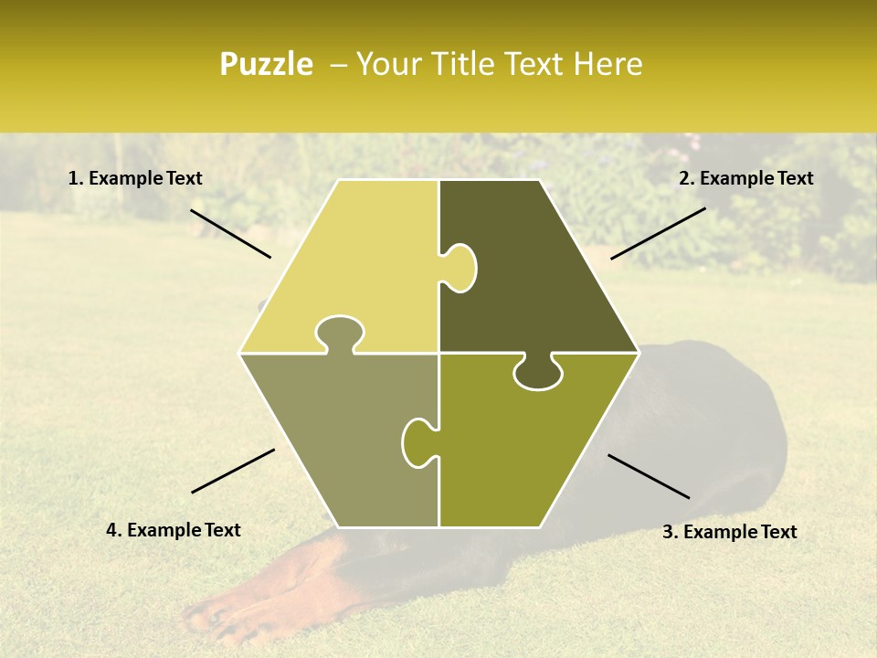 A Black And Brown Dog Laying On Top Of A Lush Green Field PowerPoint Template