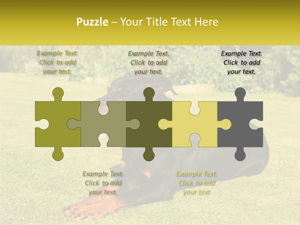 A Black And Brown Dog Laying On Top Of A Lush Green Field PowerPoint Template