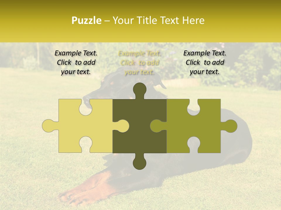 A Black And Brown Dog Laying On Top Of A Lush Green Field PowerPoint Template