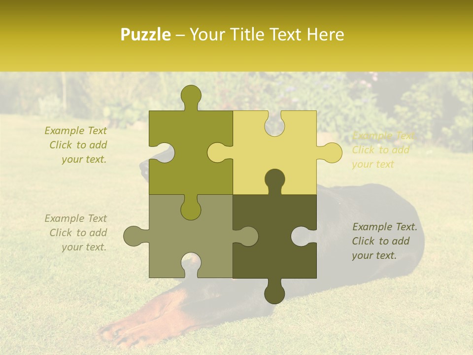 A Black And Brown Dog Laying On Top Of A Lush Green Field PowerPoint Template