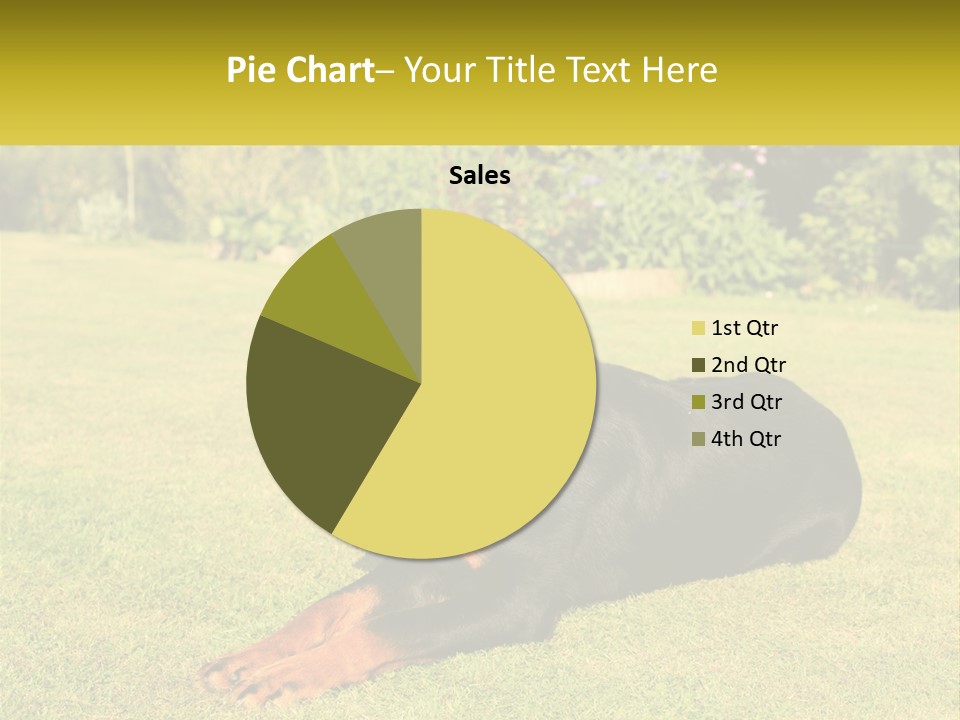 A Black And Brown Dog Laying On Top Of A Lush Green Field PowerPoint Template
