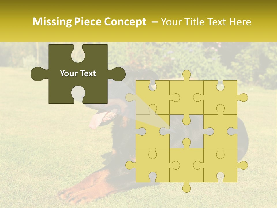 A Black And Brown Dog Laying On Top Of A Lush Green Field PowerPoint Template