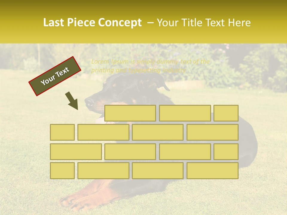A Black And Brown Dog Laying On Top Of A Lush Green Field PowerPoint Template