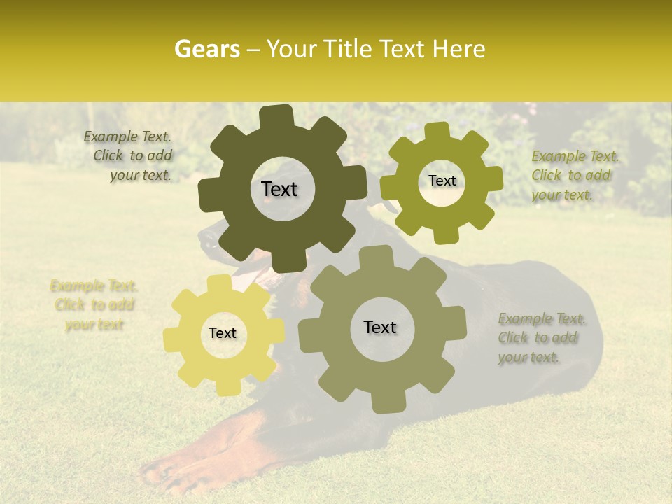 A Black And Brown Dog Laying On Top Of A Lush Green Field PowerPoint Template