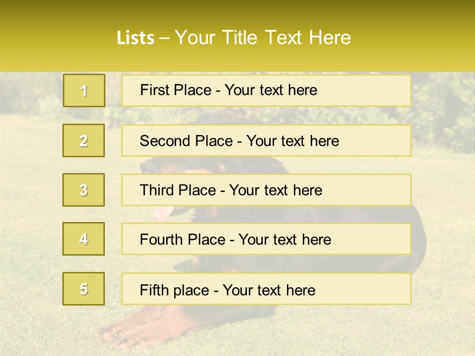 A Black And Brown Dog Laying On Top Of A Lush Green Field PowerPoint Template