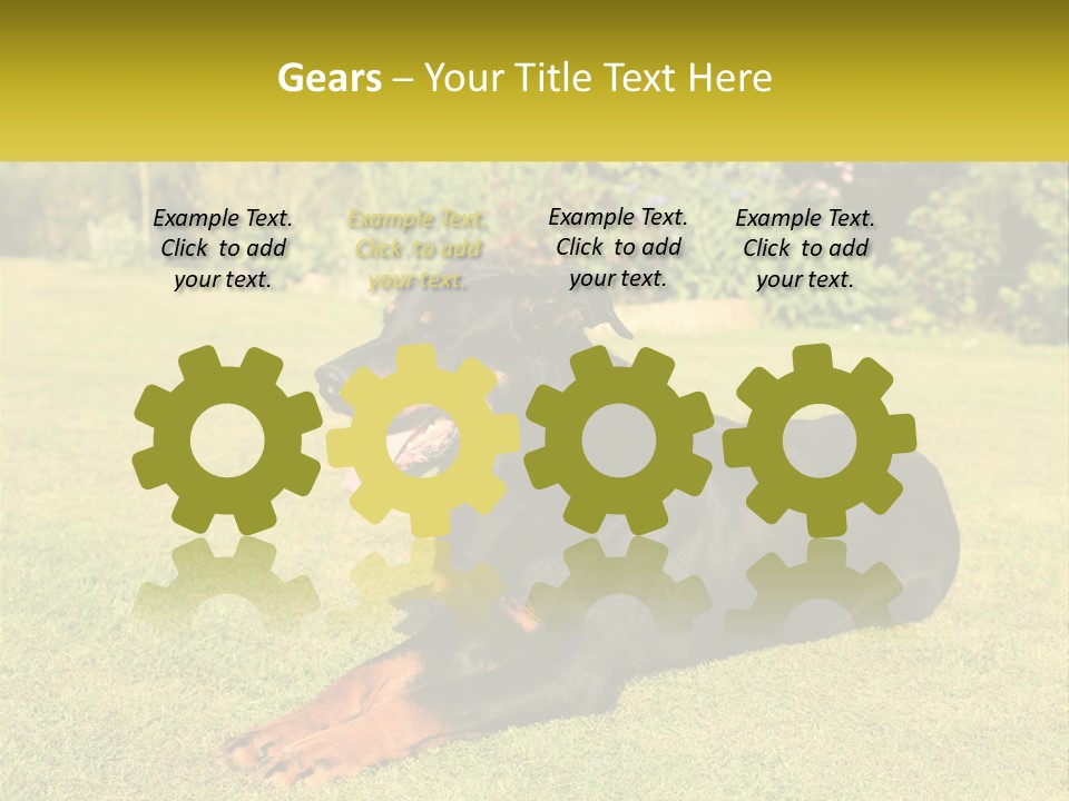 A Black And Brown Dog Laying On Top Of A Lush Green Field PowerPoint Template