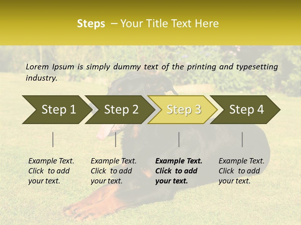 A Black And Brown Dog Laying On Top Of A Lush Green Field PowerPoint Template