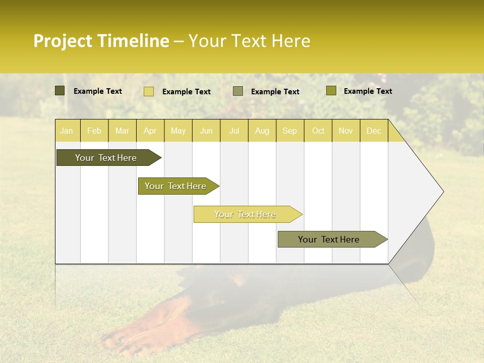 A Black And Brown Dog Laying On Top Of A Lush Green Field PowerPoint Template