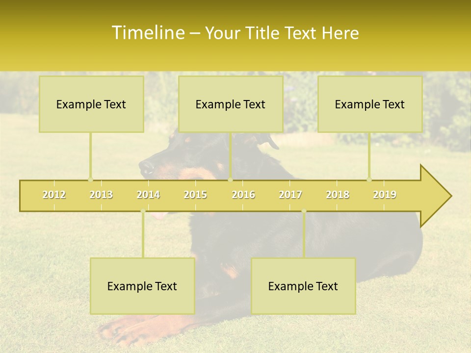 A Black And Brown Dog Laying On Top Of A Lush Green Field PowerPoint Template