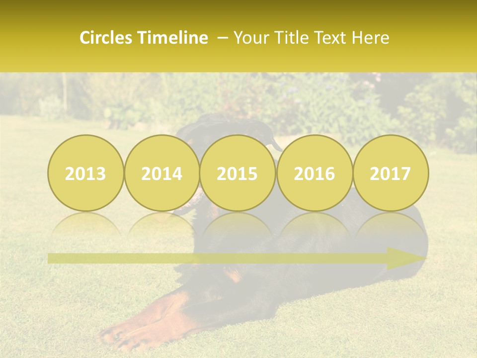 A Black And Brown Dog Laying On Top Of A Lush Green Field PowerPoint Template