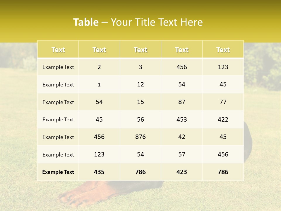 A Black And Brown Dog Laying On Top Of A Lush Green Field PowerPoint Template