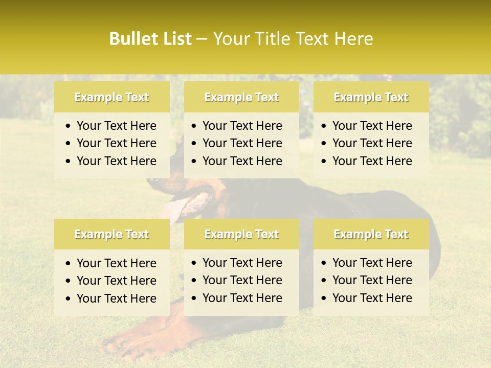 A Black And Brown Dog Laying On Top Of A Lush Green Field PowerPoint Template