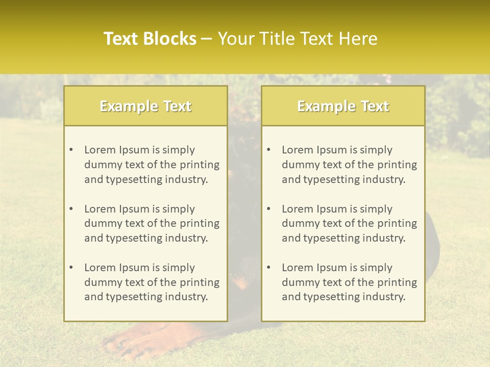 A Black And Brown Dog Laying On Top Of A Lush Green Field PowerPoint Template