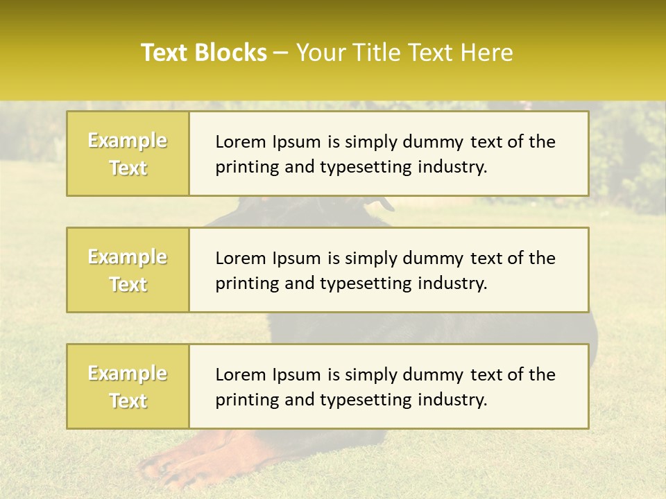 A Black And Brown Dog Laying On Top Of A Lush Green Field PowerPoint Template