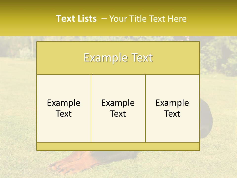 A Black And Brown Dog Laying On Top Of A Lush Green Field PowerPoint Template