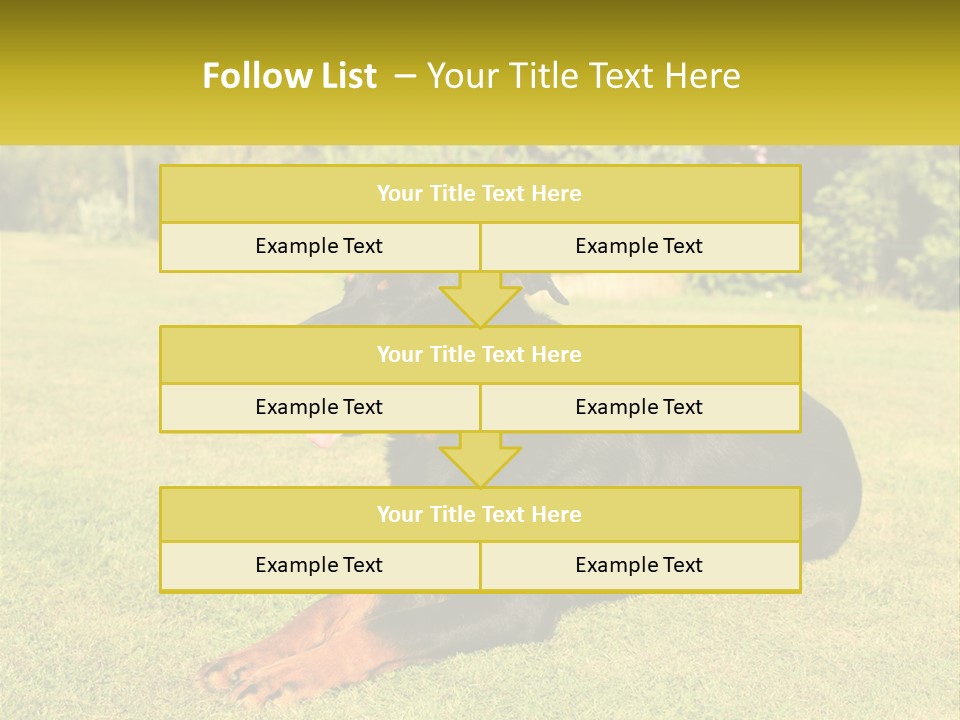 A Black And Brown Dog Laying On Top Of A Lush Green Field PowerPoint Template