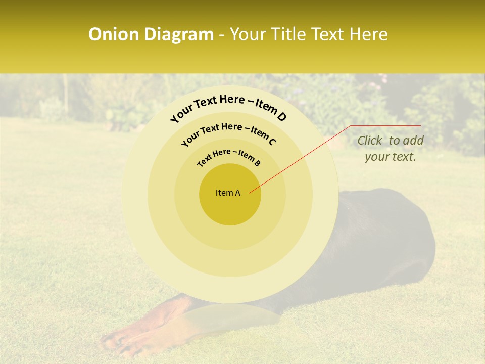 A Black And Brown Dog Laying On Top Of A Lush Green Field PowerPoint Template