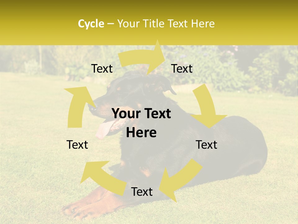 A Black And Brown Dog Laying On Top Of A Lush Green Field PowerPoint Template