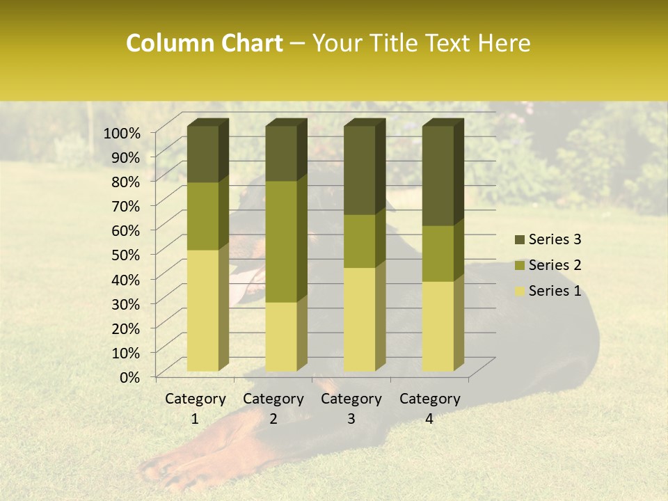 A Black And Brown Dog Laying On Top Of A Lush Green Field PowerPoint Template