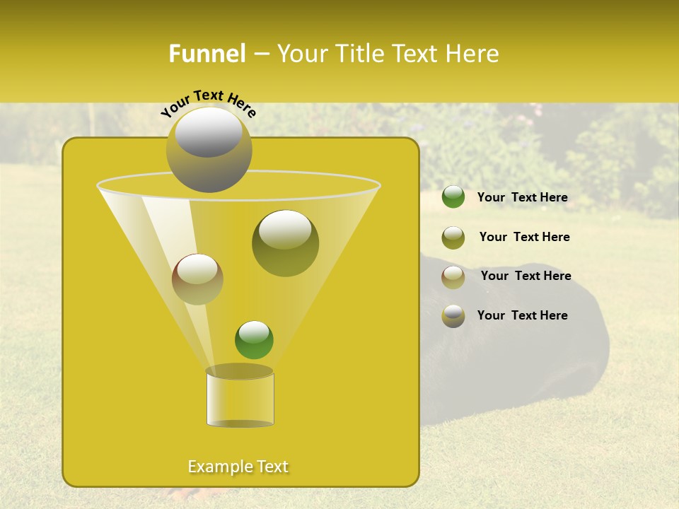 A Black And Brown Dog Laying On Top Of A Lush Green Field PowerPoint Template