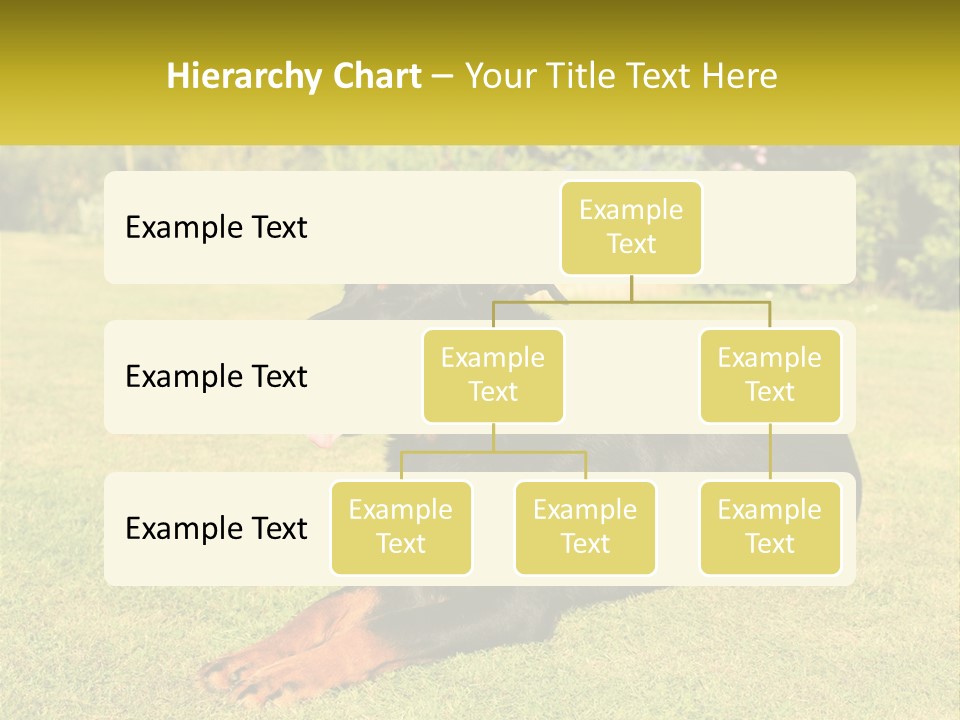 A Black And Brown Dog Laying On Top Of A Lush Green Field PowerPoint Template