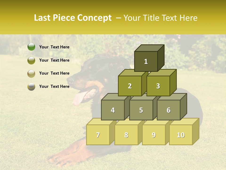A Black And Brown Dog Laying On Top Of A Lush Green Field PowerPoint Template