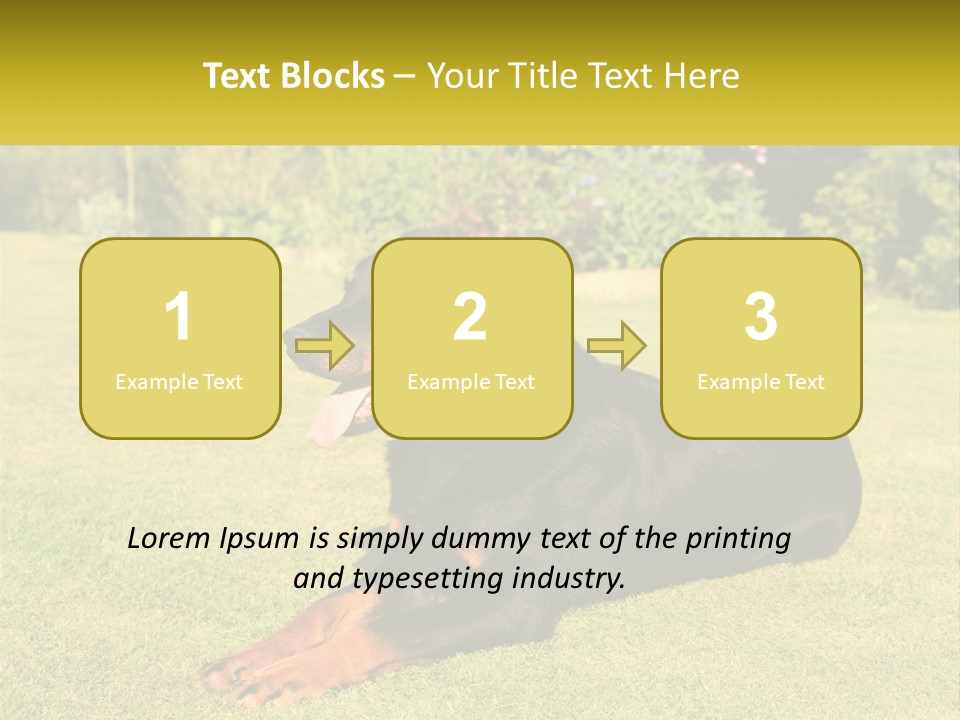 A Black And Brown Dog Laying On Top Of A Lush Green Field PowerPoint Template