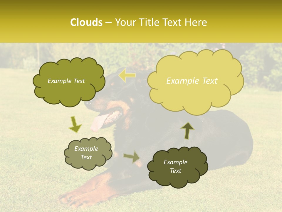 A Black And Brown Dog Laying On Top Of A Lush Green Field PowerPoint Template